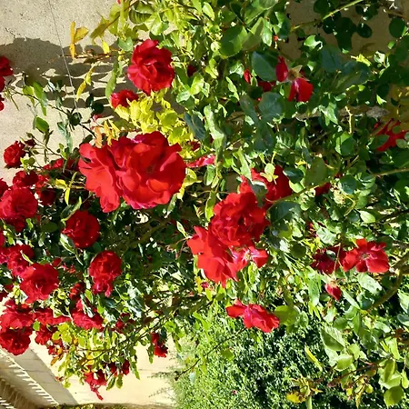 Дом отдыха La Ferme - Chateau Le Noble *