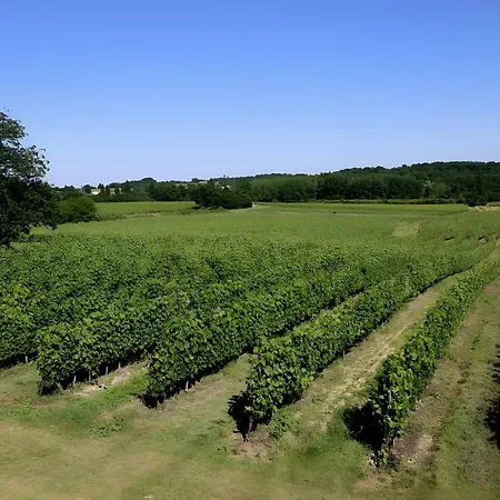 La Ferme - Chateau Le Noble * Saint-Germain-du-Puch