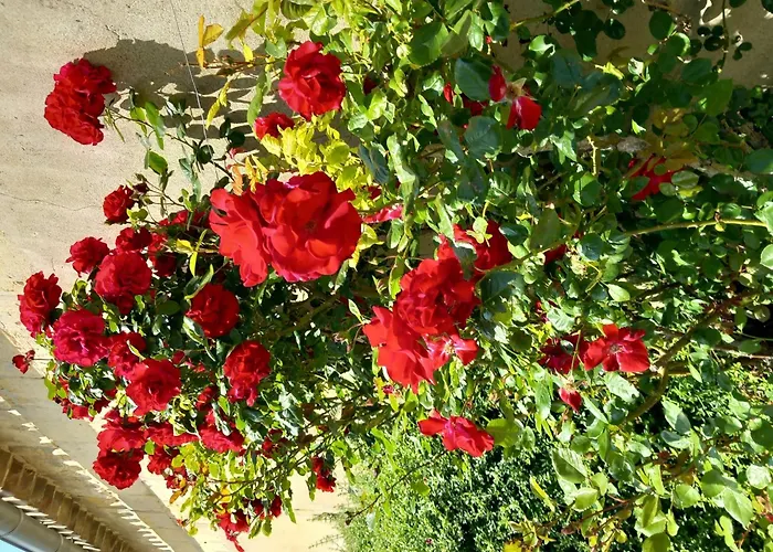 Дом отдыха La Ferme - Chateau Le Noble *